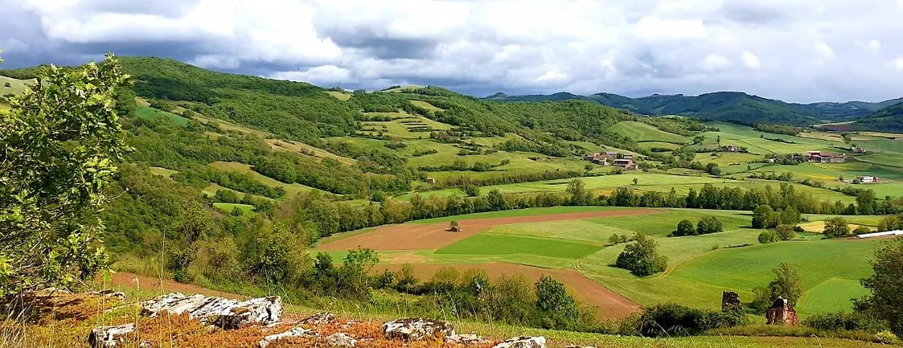 Appart Hotel Du Pays De Roquefort Saint-Affrique France